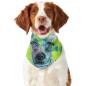 Preview: Hunde-Bandana Sancho - Popart Hundedesign, 100 % Polyester, 70x30 cm, verstellbar, waschbar
